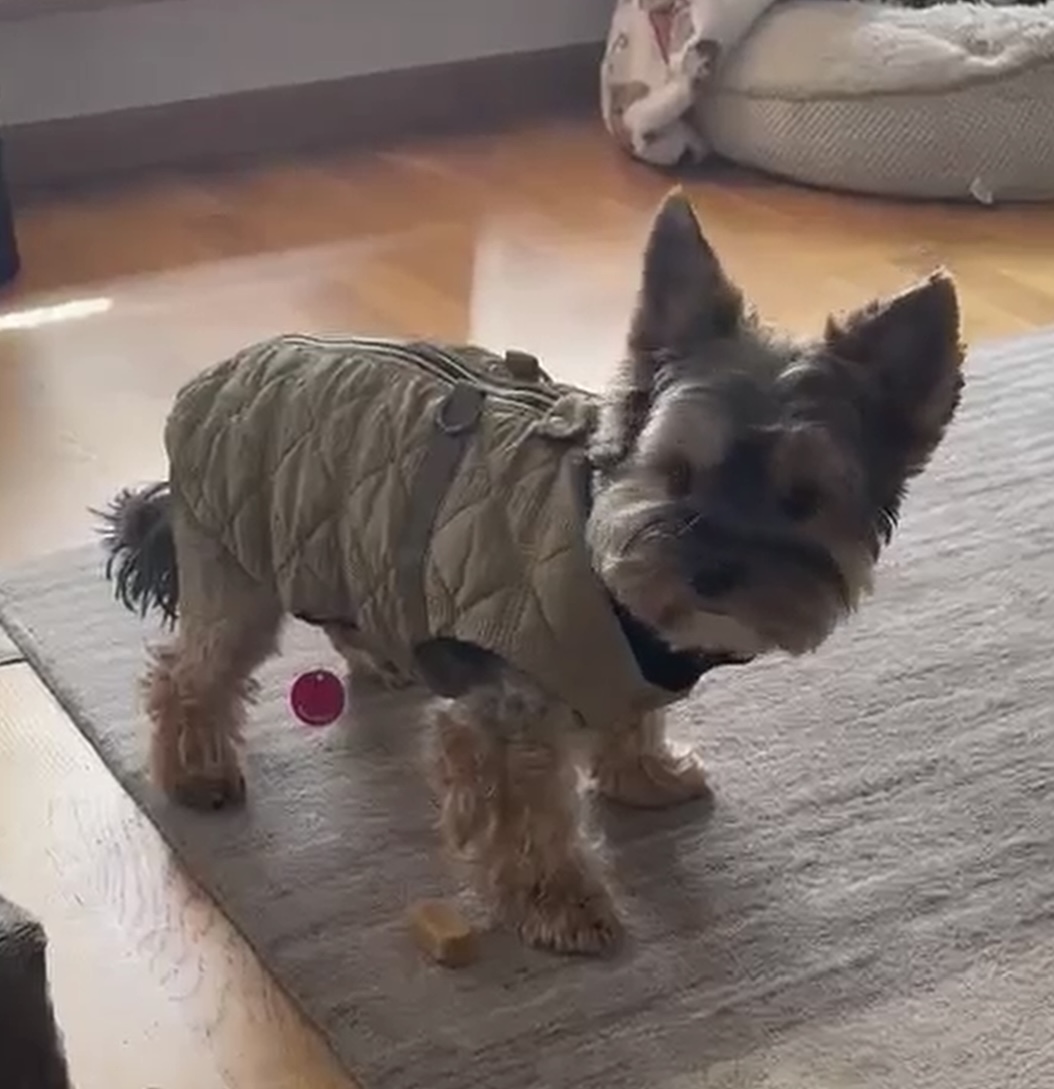 Kurtka KRT 10 - obrazek 3