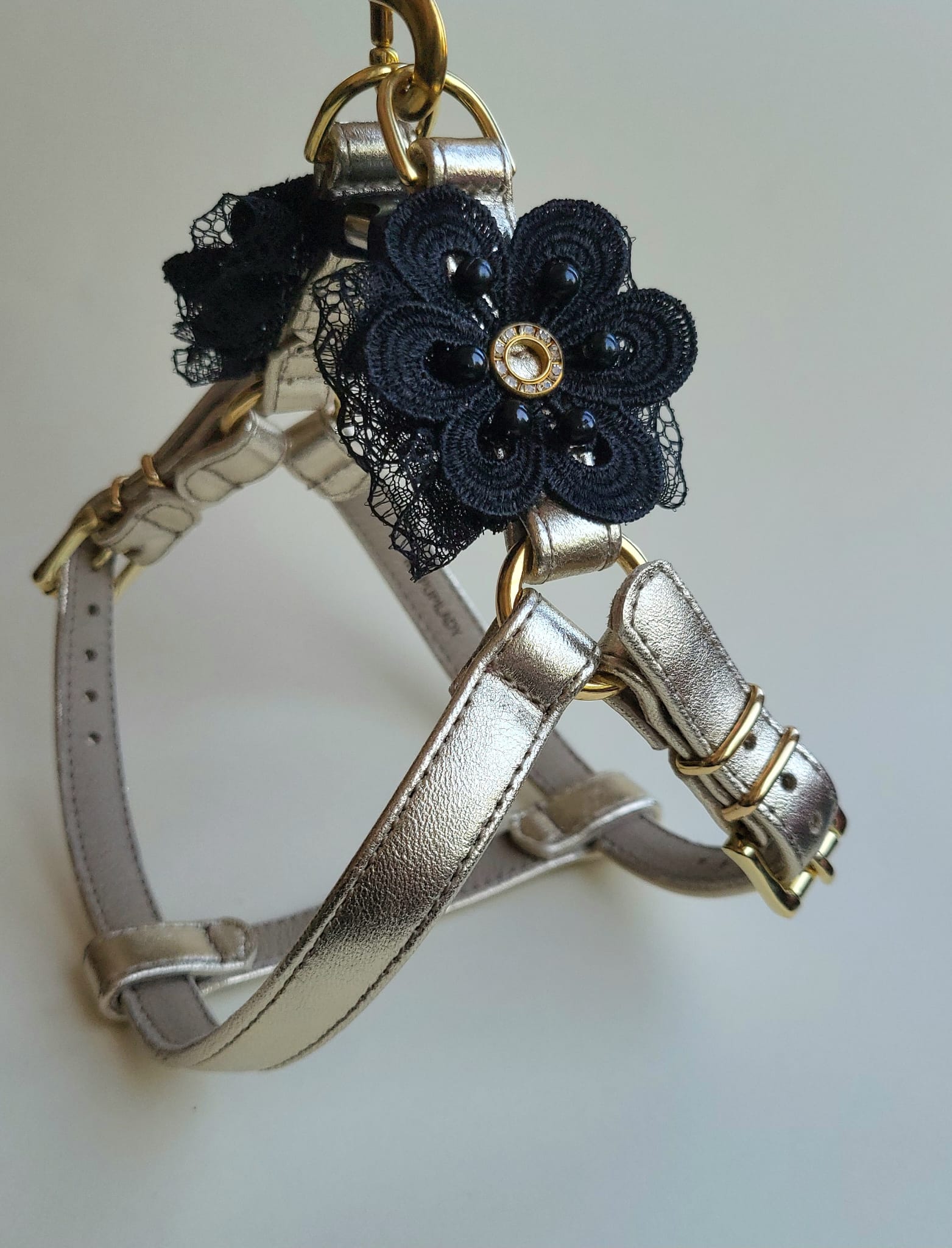 a5c1af51-cc00-4d20-a73d-ae564f5dab9d